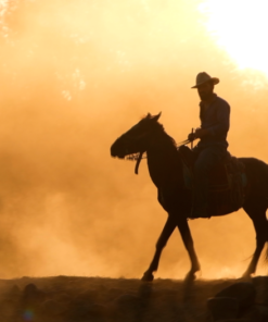 Western Book Trailer