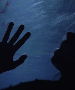 Affordable Book Trailer for Horror Novel